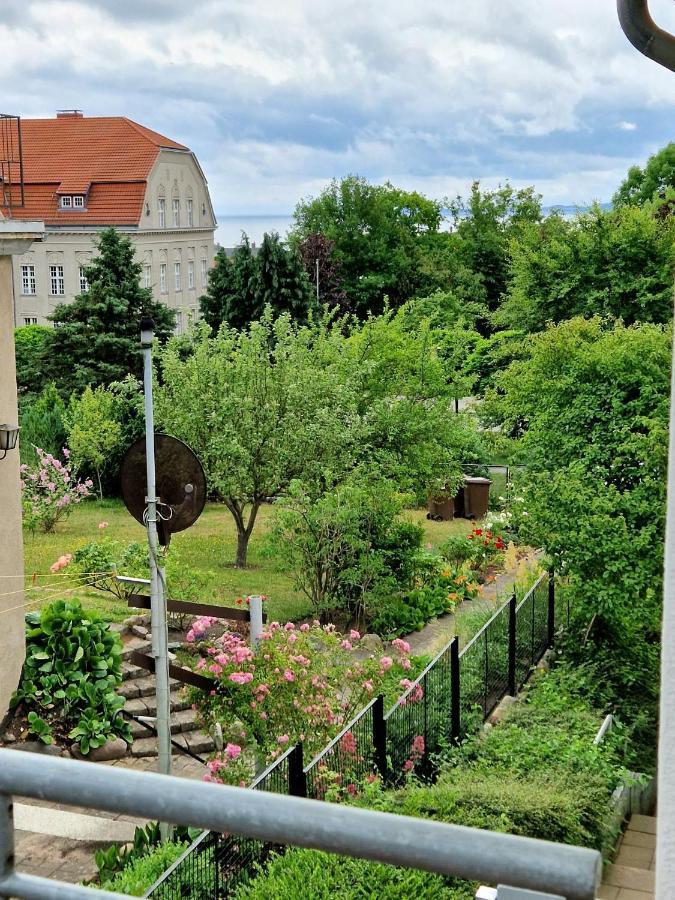 Ferienwohnung Treibholz 사스니츠 외부 사진